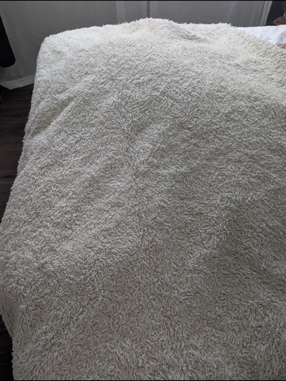 Shag 6x9 ruggable rug - without pad